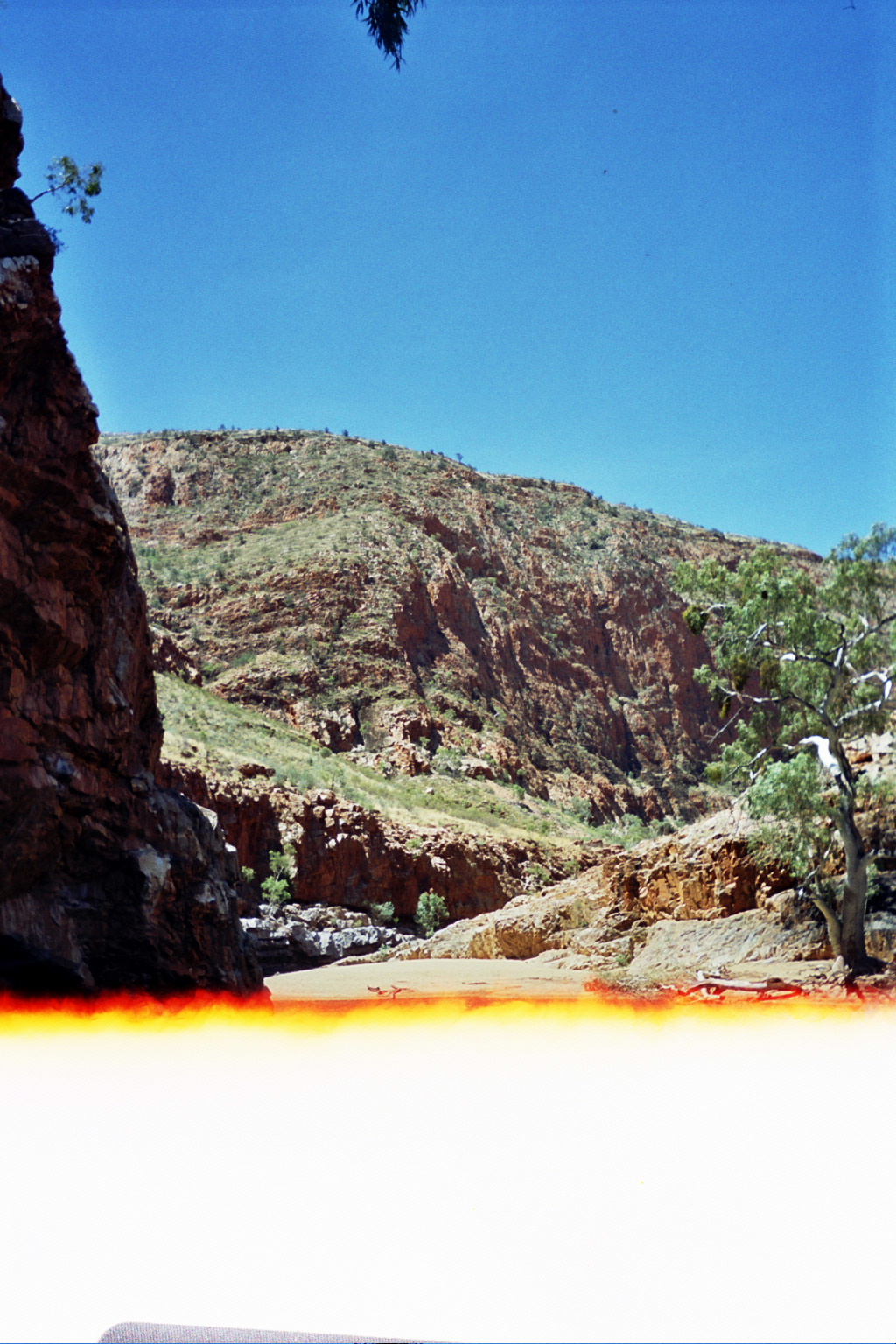 Image - __X_0064.JPG