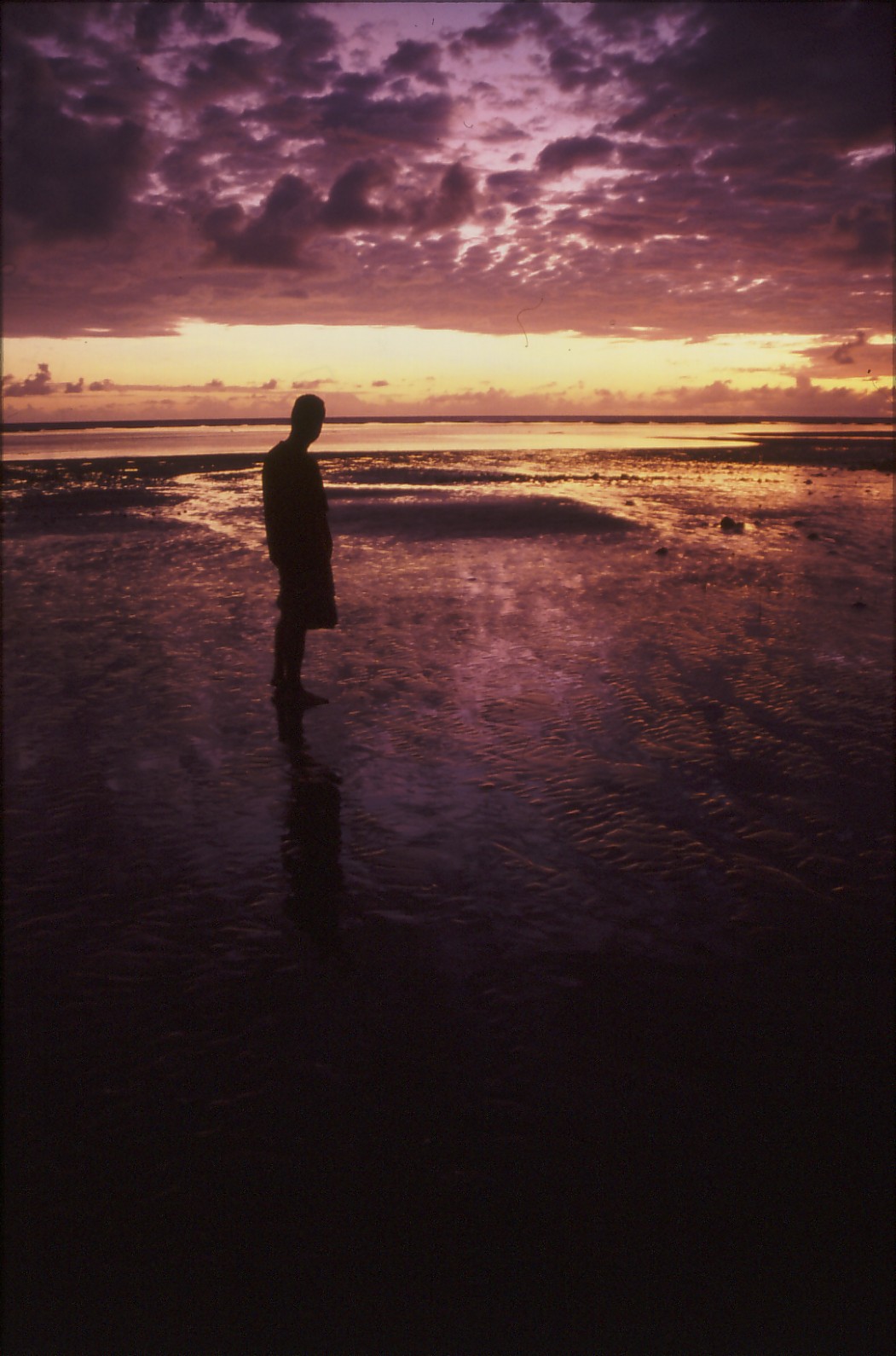 Image - naomi3.jpg